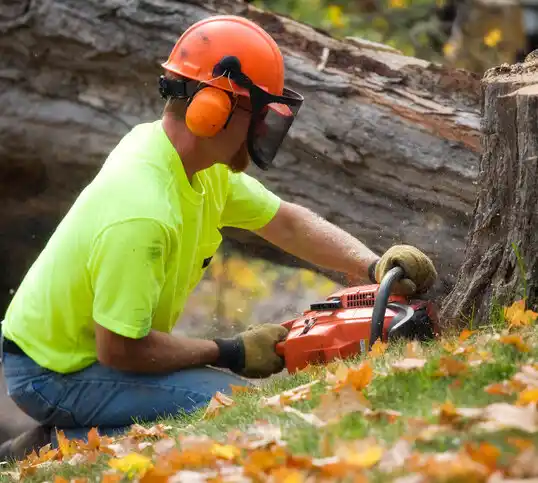 tree services Burtonsville